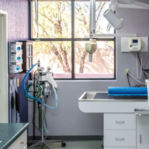 inside office inside office