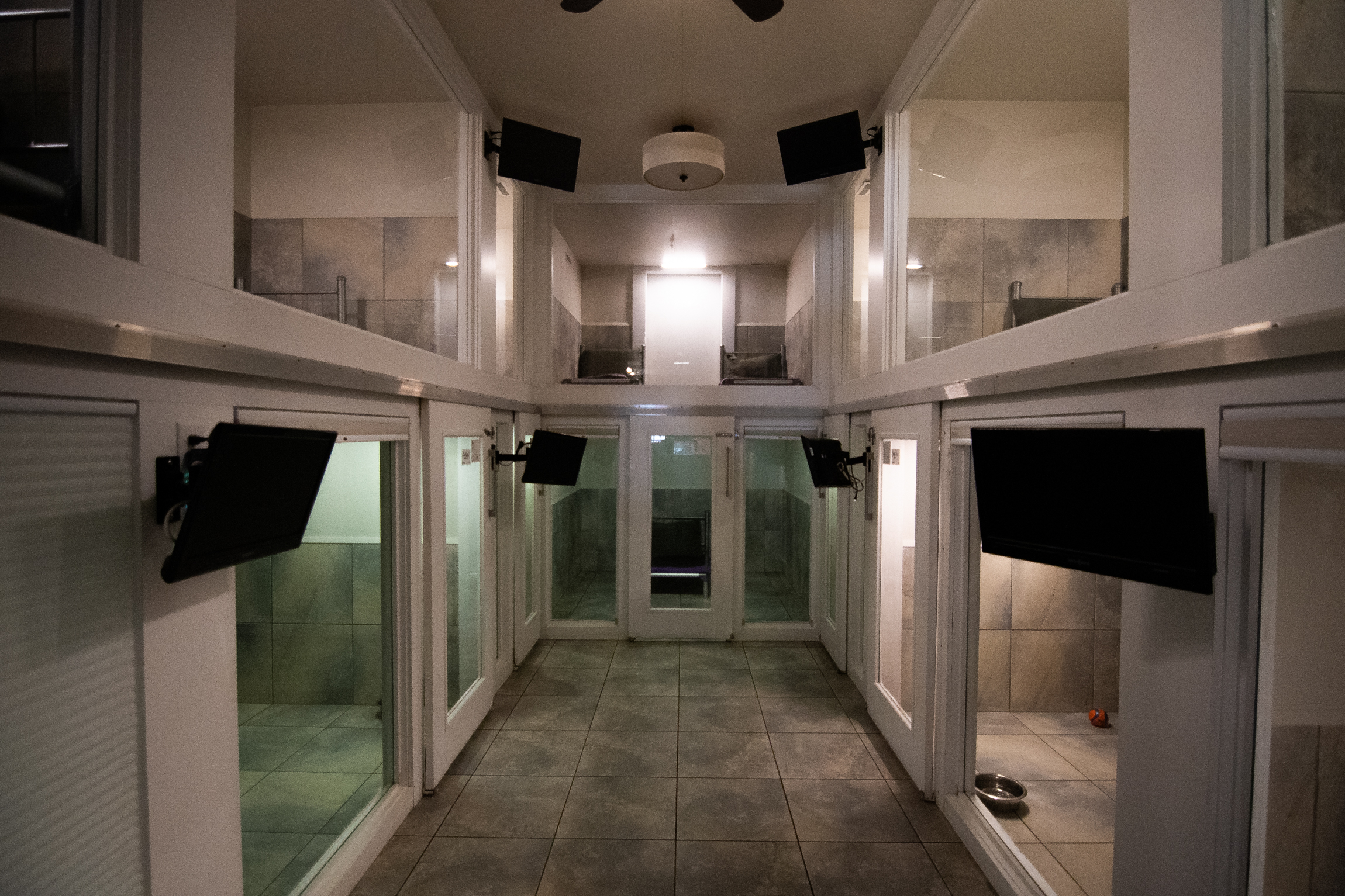 Breed Above Boarding Suites