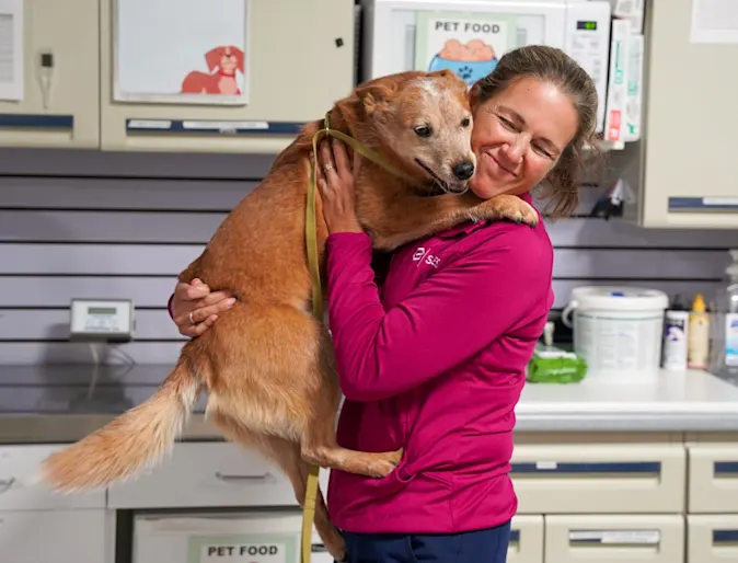 Staff hugging dog Staff hugging dog