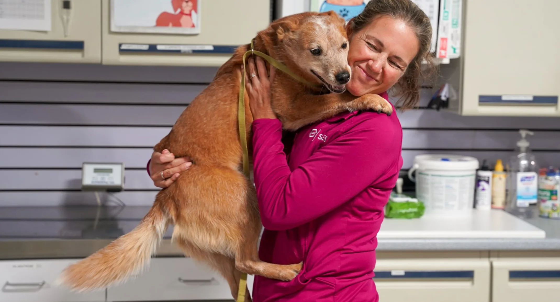 Staff hugging dog Staff hugging dog