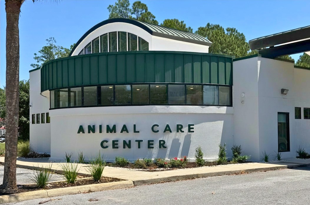Front of Animal Care Center of Panama City Beach's building.
