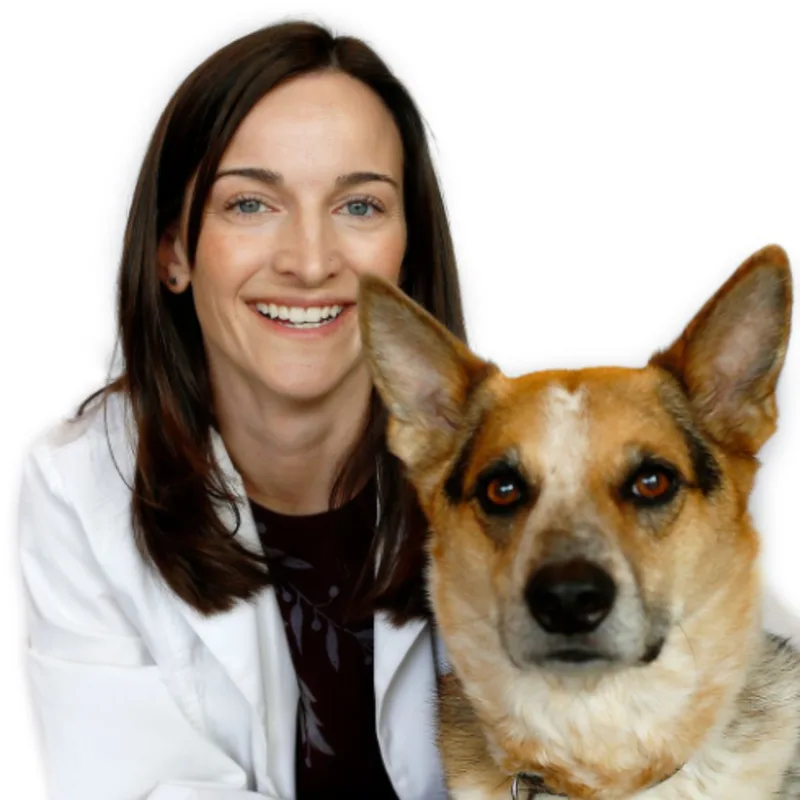 Dr. Caroline Rudolph Dr. Caroline Rudolph