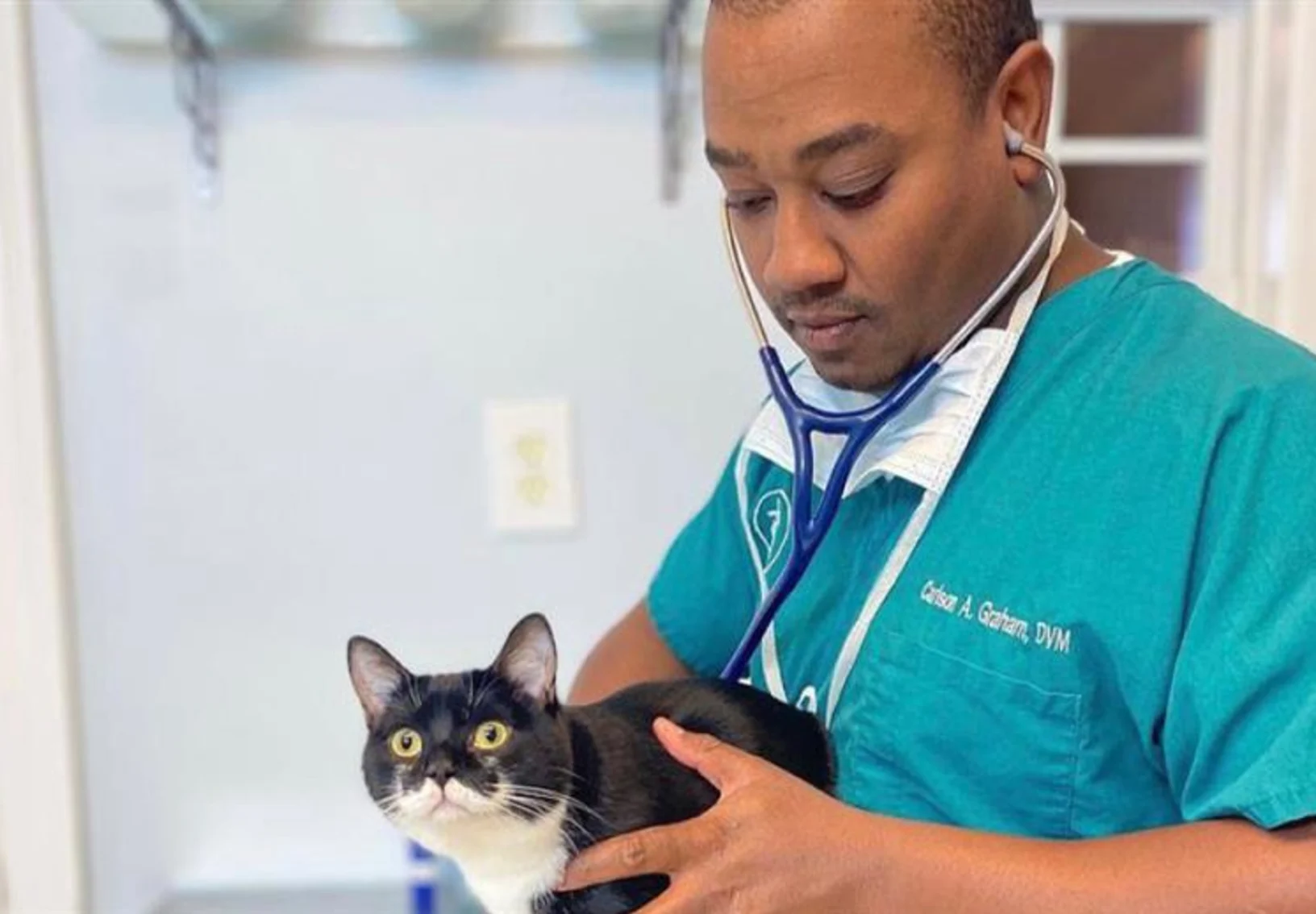 Dr. Carlson holding black and white cat at Pampered Paws Animal Hospital