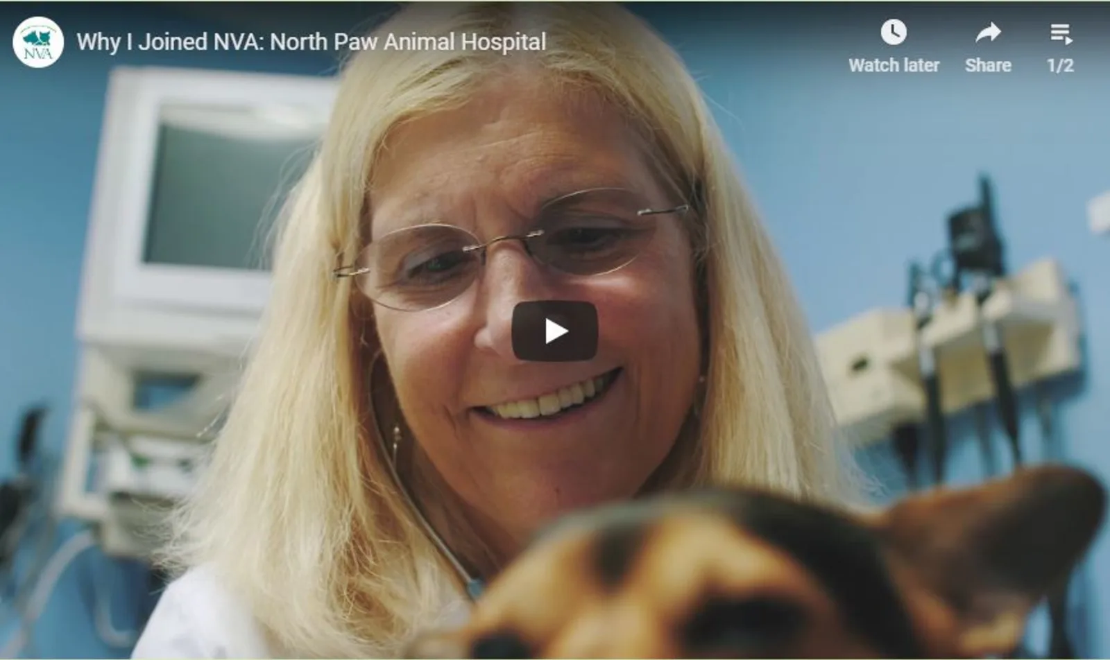 North Paw Animal Hospital testimonial video