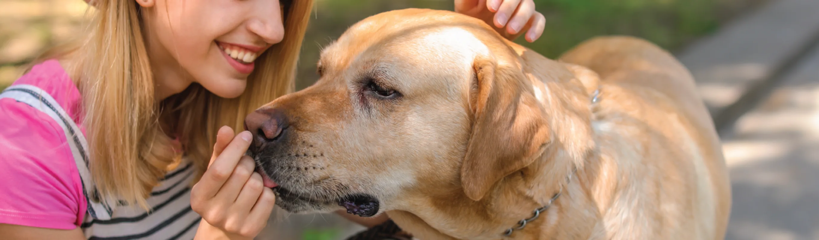 Dog with Woman Licking Hand