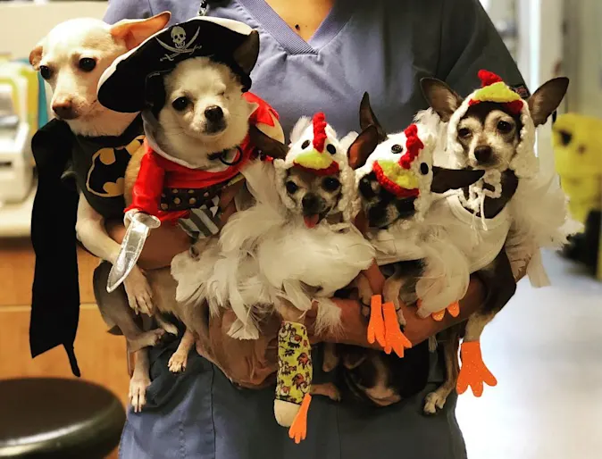 Public events at Animal Specialty Center Public events at Animal Specialty Center