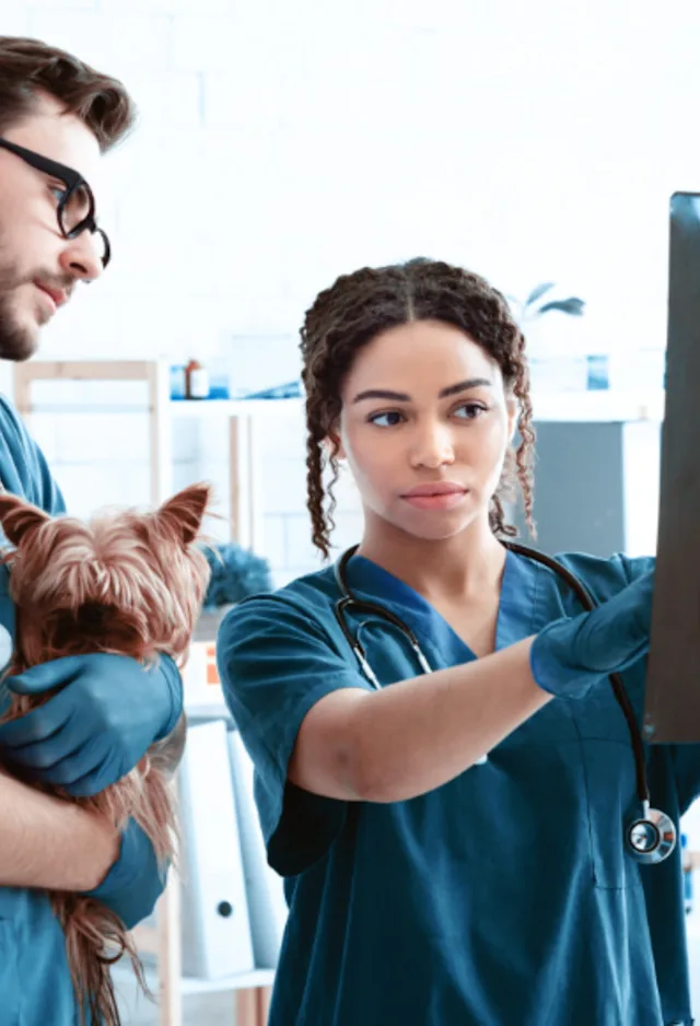 Two Veterinarians Examining an X-Ray with a Dog Two Veterinarians Examining an X-Ray with a Dog