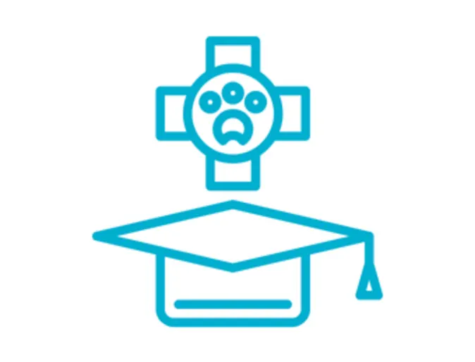 Continuing education reimbursement and advanced training icon Continuing education reimbursement and advanced training icon