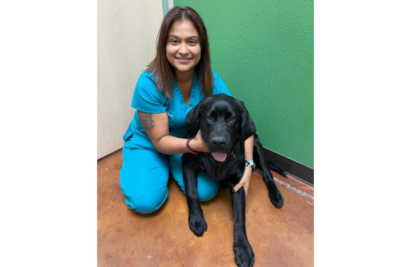 Woman Staff Member Kneeling with Black Dog
