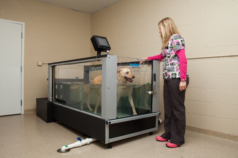 Hawthorne Park Animal Care Center Aquatic Therapy