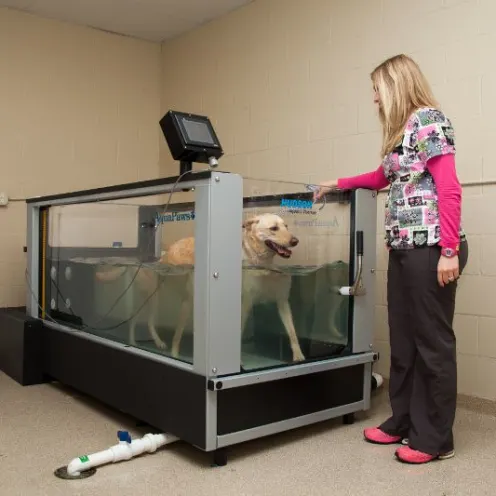 Hawthorne Park Animal Care Center Aquatic Therapy