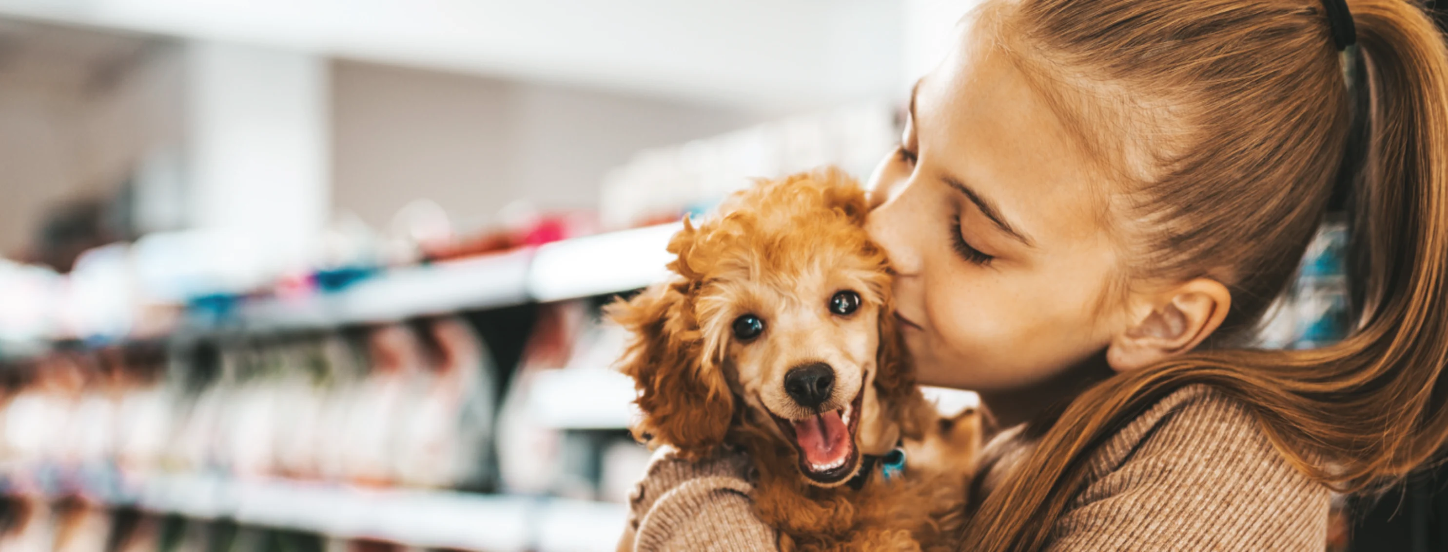 Dog in store with toys