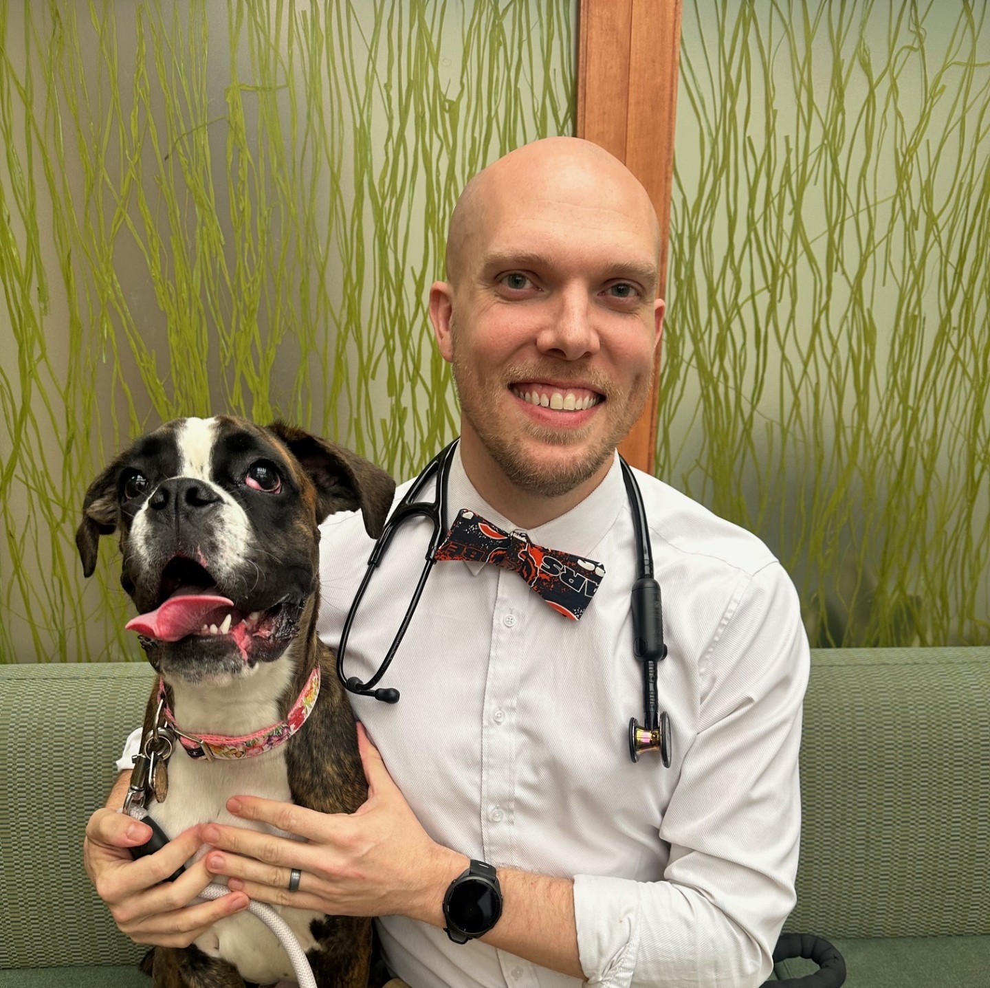 Dr. Matthew Timmons