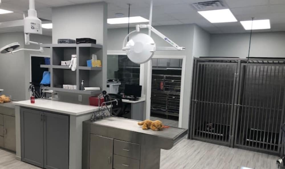 Longwood Animal and Pet Resort