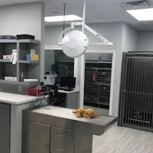 Longwood Animal and Pet Resort Longwood Animal and Pet Resort