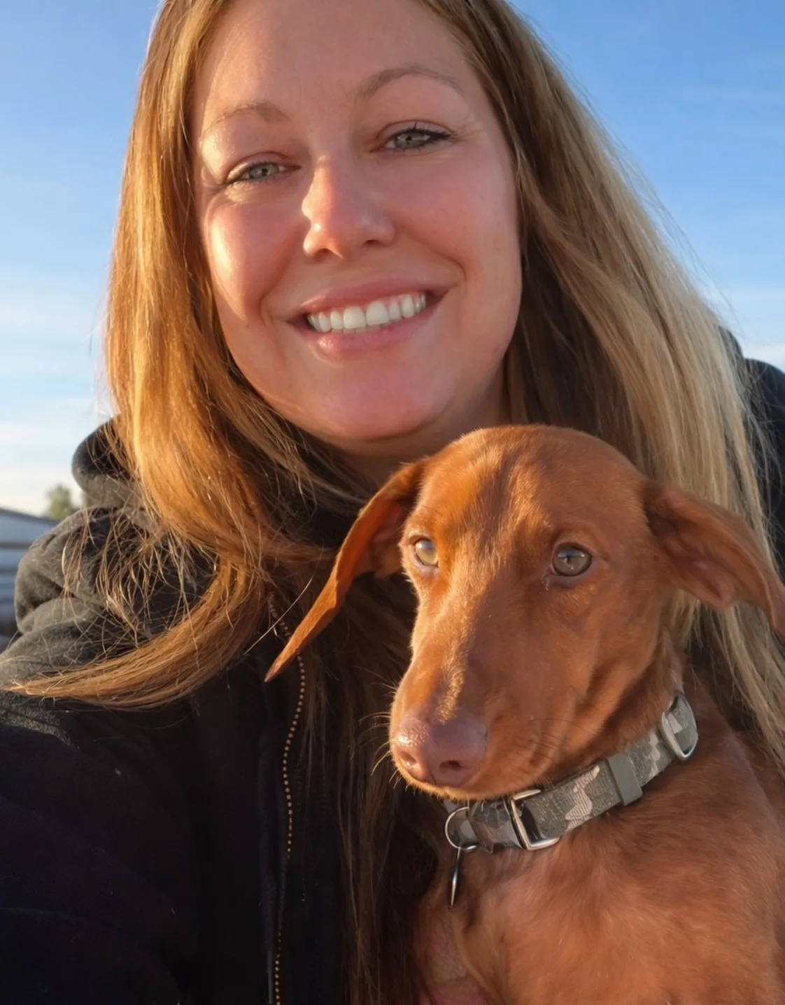 Pencil puppy placeholder Pencil puppy placeholder