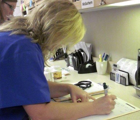 Veterinary staff writing client notes at Eastview Veterinary Clinic