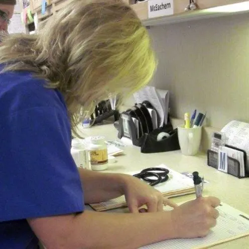 Veterinary staff writing client notes at Eastview Veterinary Clinic