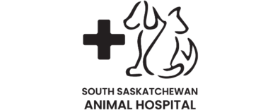 South Saskatchewan Animal Hospital Logo South Saskatchewan Animal Hospital Logo