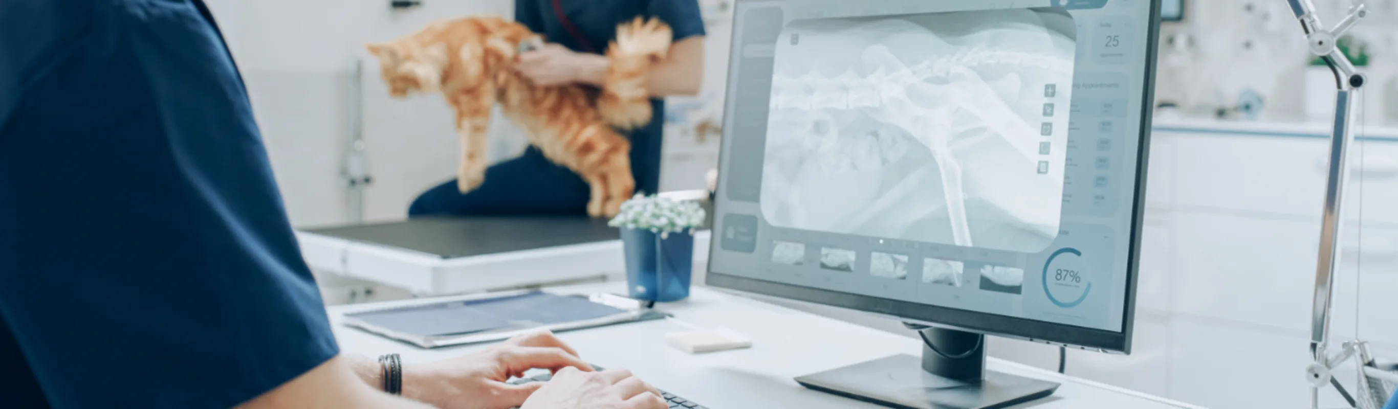 DVM Working in a Clinic DVM Working in a Clinic