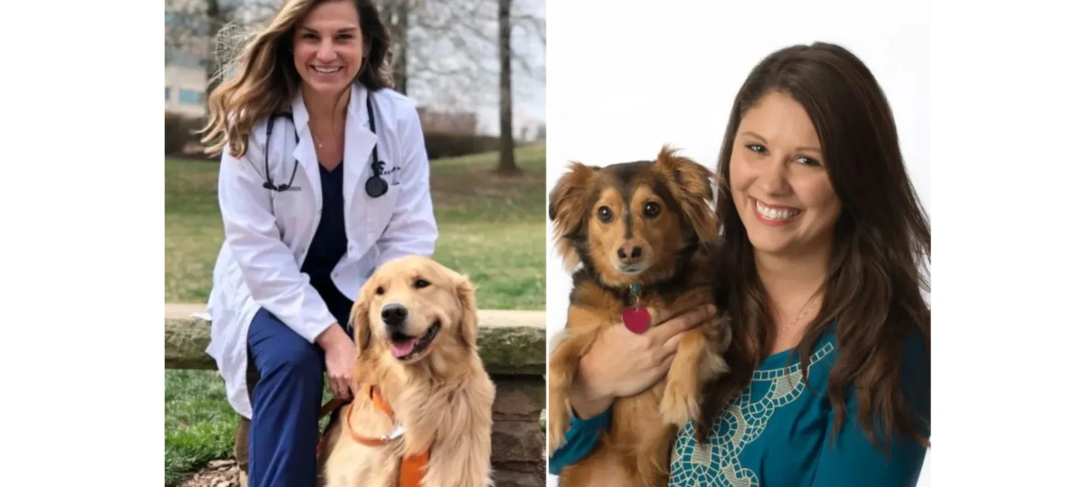 Pender Veterinary Centre - Acupuncture Veterinarian Doctors Pender Veterinary Centre - Acupuncture Veterinarian Doctors