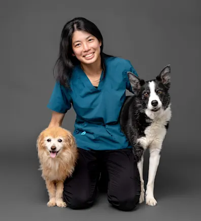 Dr. Anita Yee Dr. Anita Yee