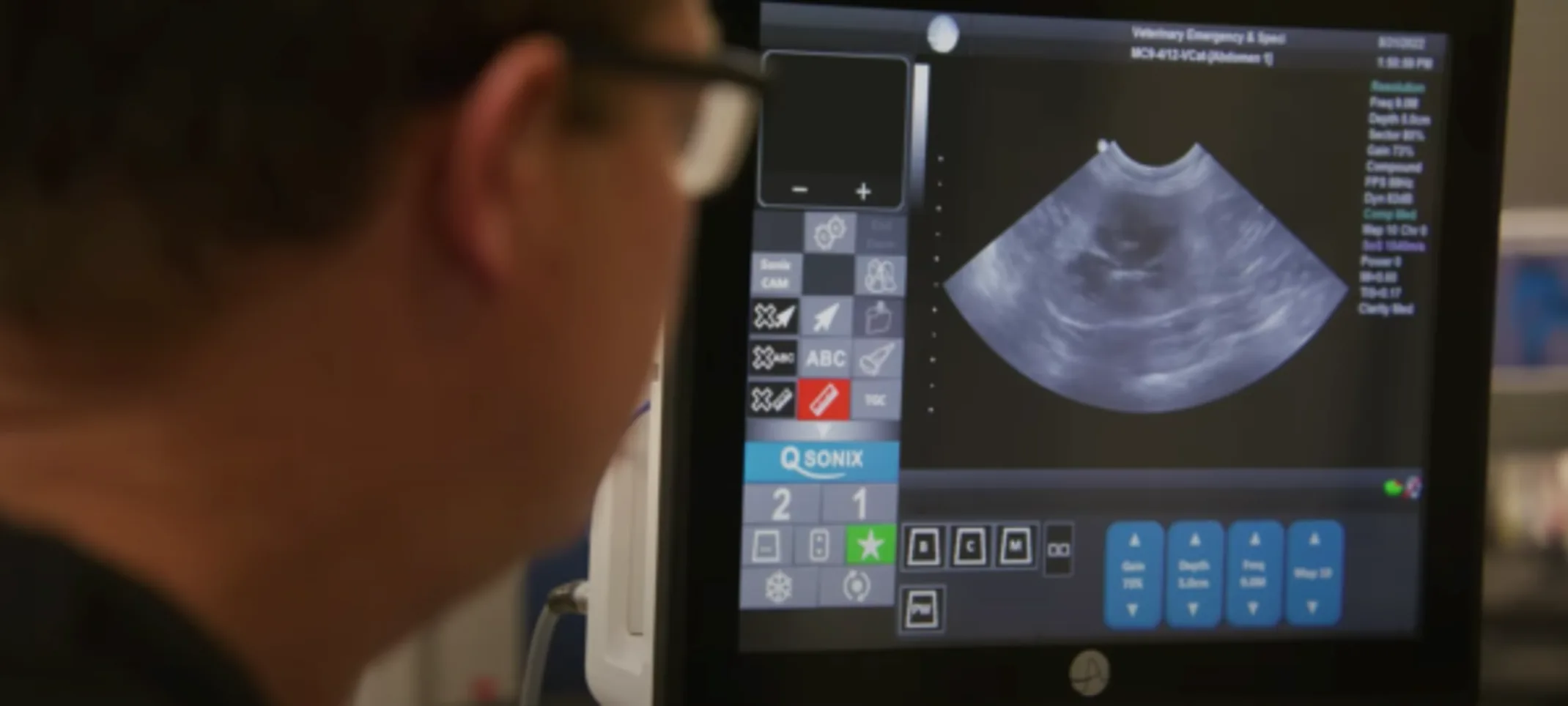 Veterinarian viewing ultrasound