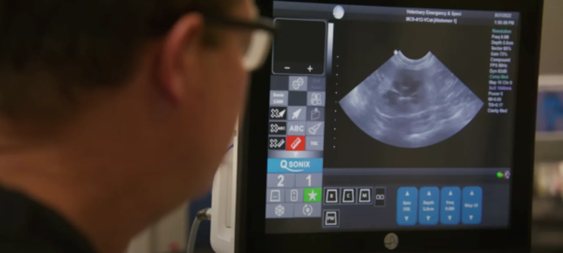 Veterinarian viewing ultrasound Veterinarian viewing ultrasound