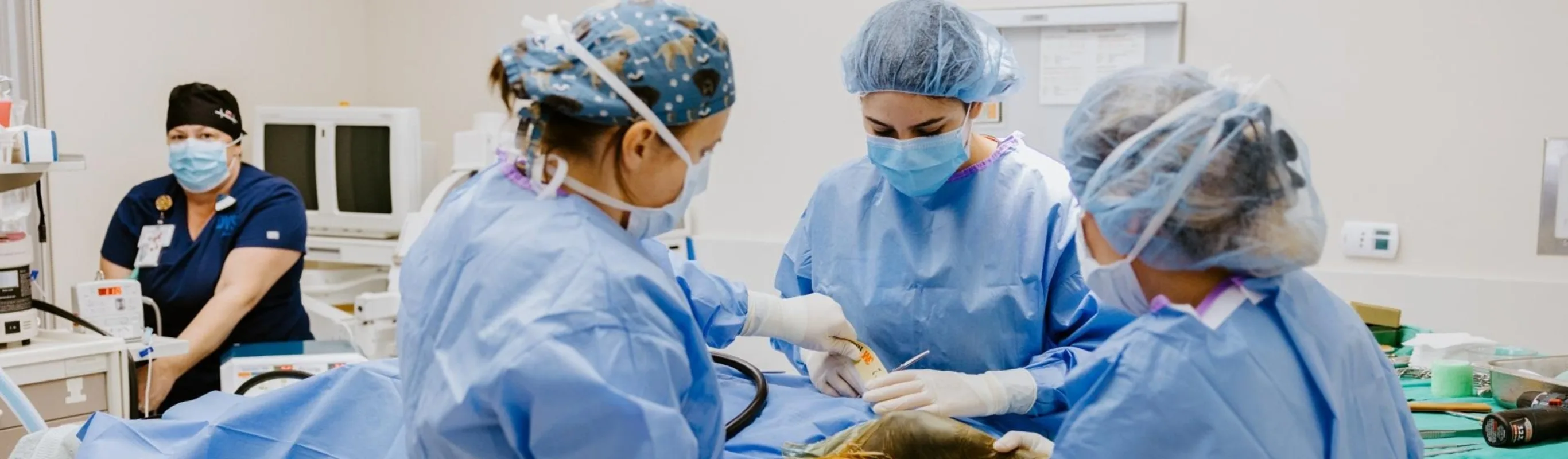 Staff performing surgery on a patient. Staff performing surgery on a patient.
