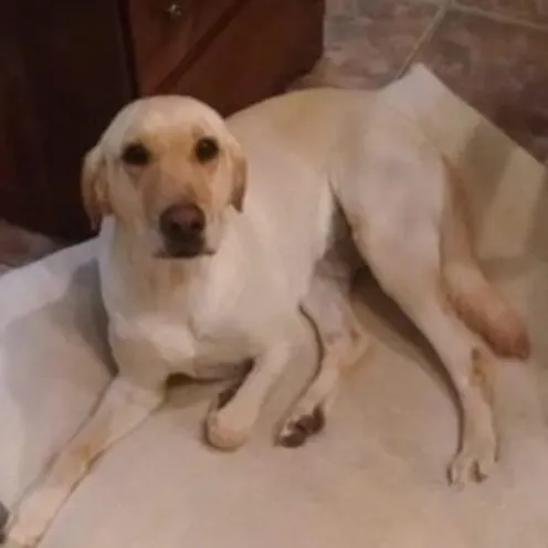 Annie Cutbirth Annie Cutbirth