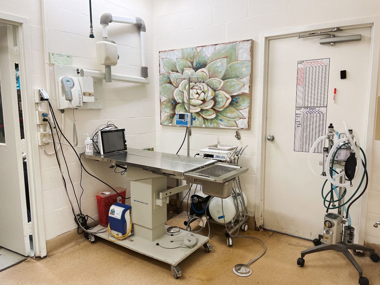 Dental suite at Eastern Shore Animal Hospital.