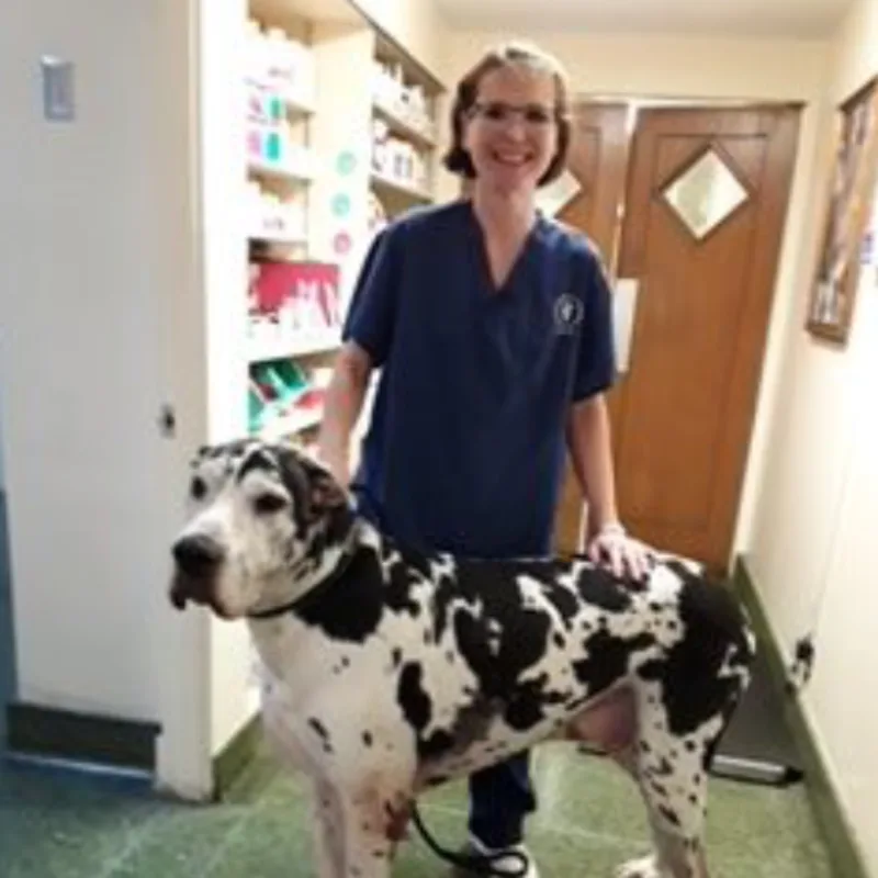 Ava Ackerman with a dalmation Ava Ackerman with a dalmation