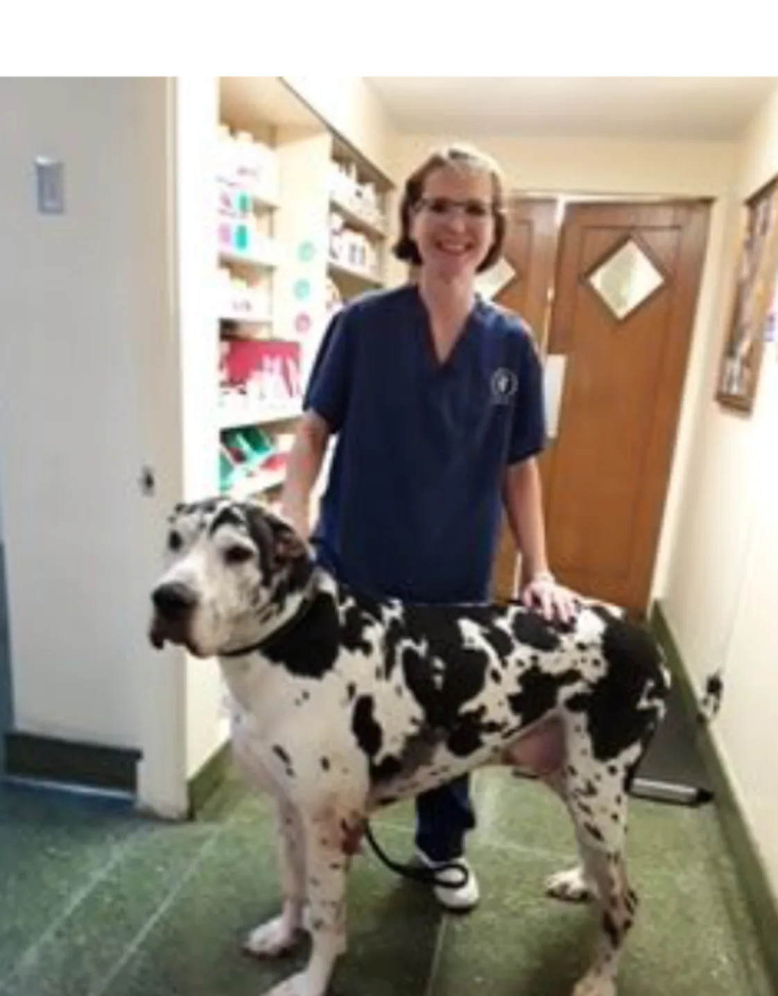 Ava Ackerman with a dalmation Ava Ackerman with a dalmation
