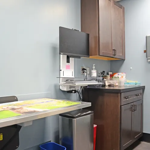 Patient Bed Patient Bed