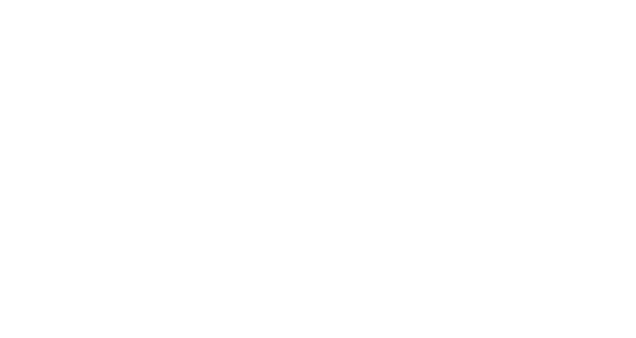 San Antonio Equine Logo
