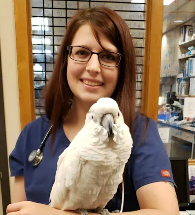 Darian Kaser Darian Kaser