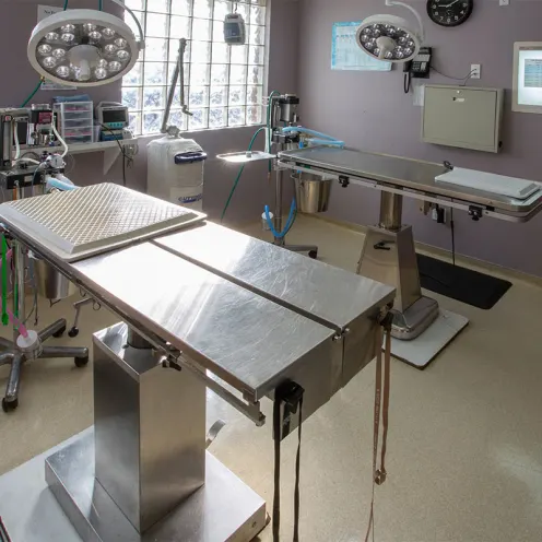 Our Surgical Suite Our Surgical Suite