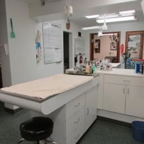Exam table with medical paper