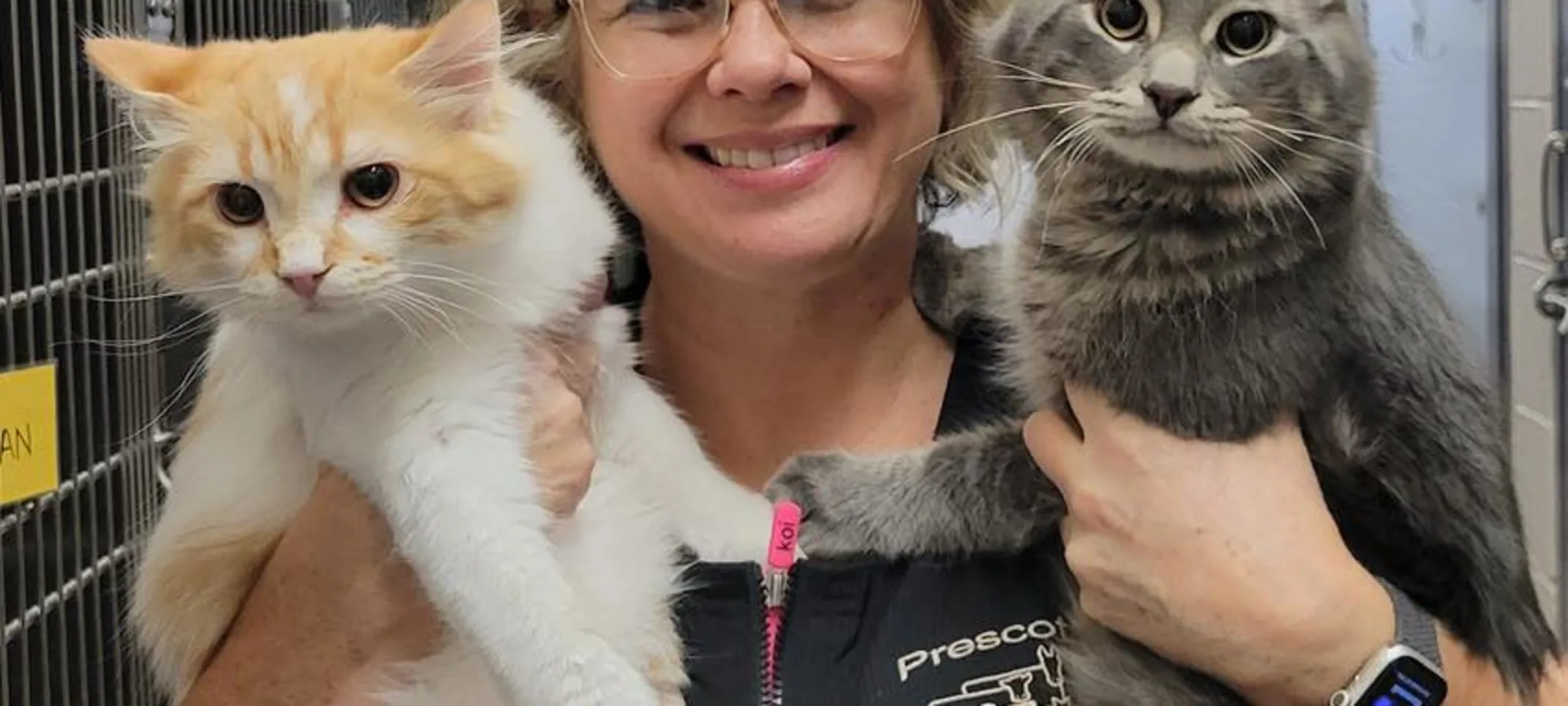 vet holding 2 cats vet holding 2 cats