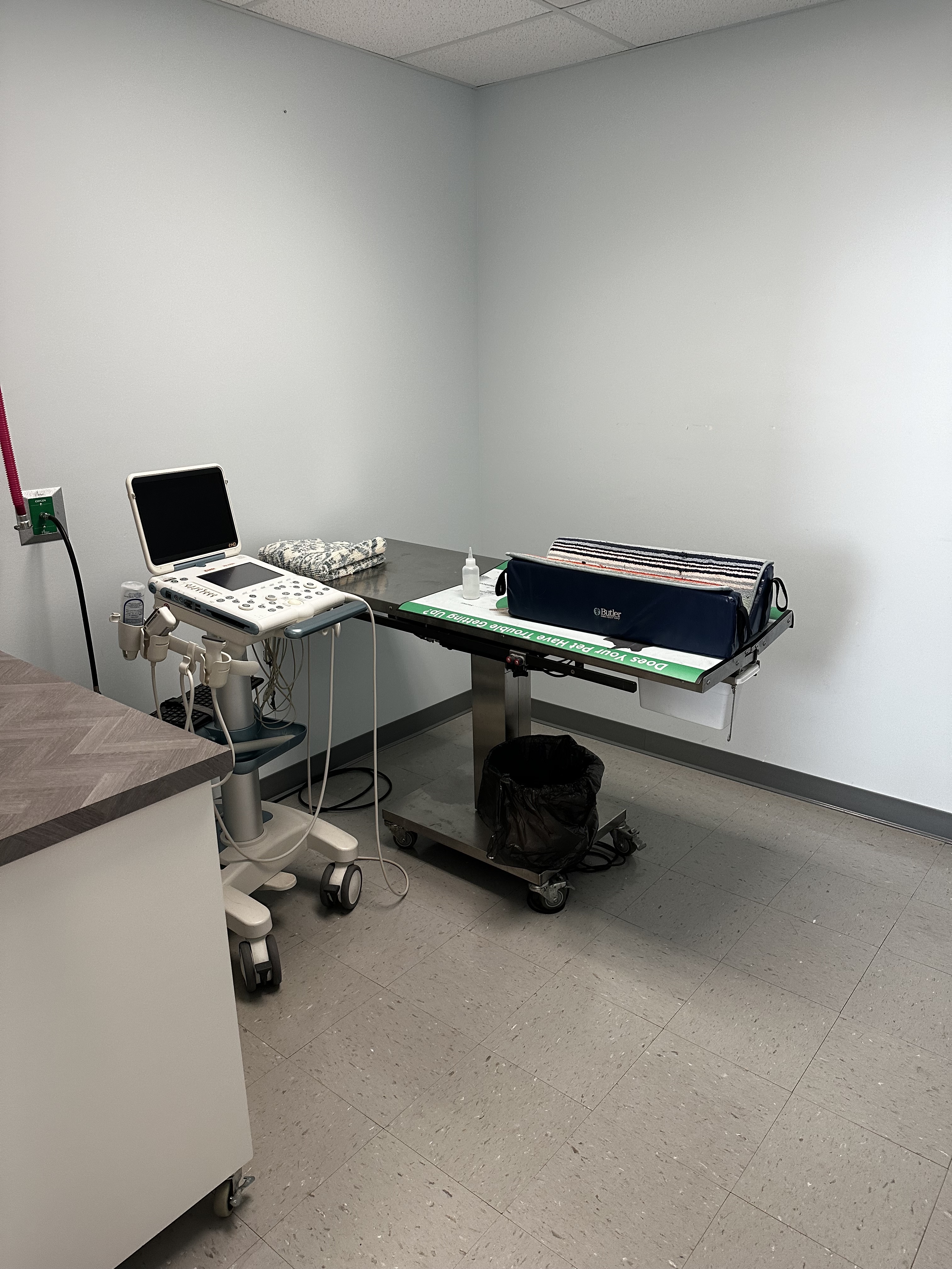 Keystone Veterinary Care Ultrasound