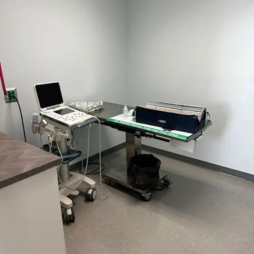 IMAGE CONTAINER - Keystone Veterinary Care Ultrasound IMAGE CONTAINER - Keystone Veterinary Care Ultrasound