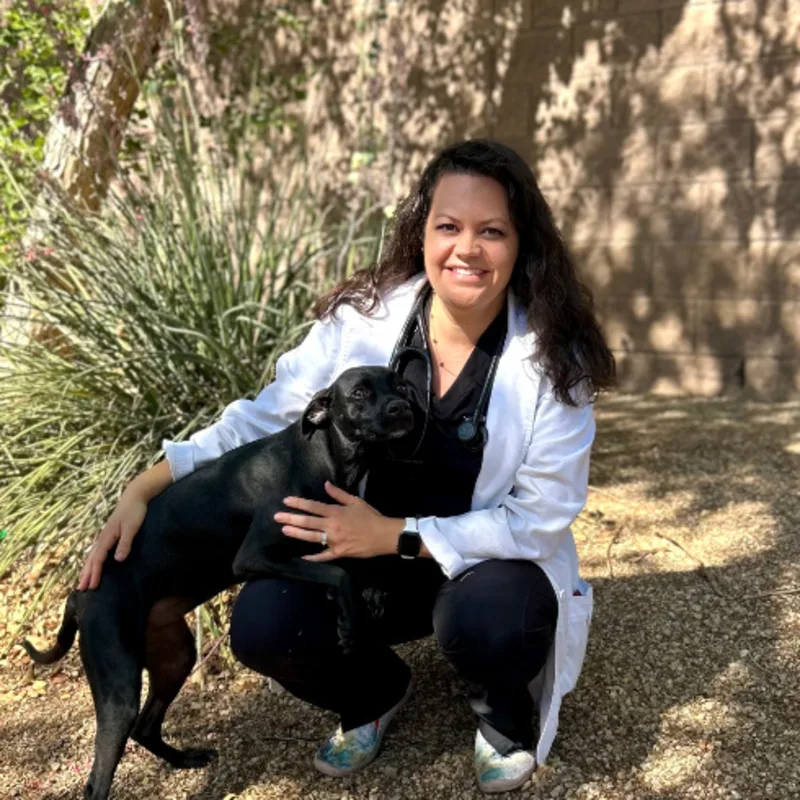 Dr. Colleen Terry Dr. Colleen Terry