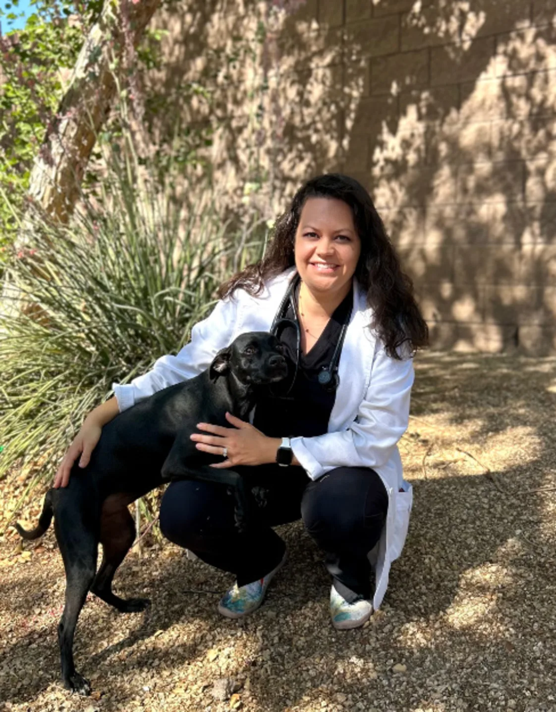 Dr. Colleen Terry Dr. Colleen Terry