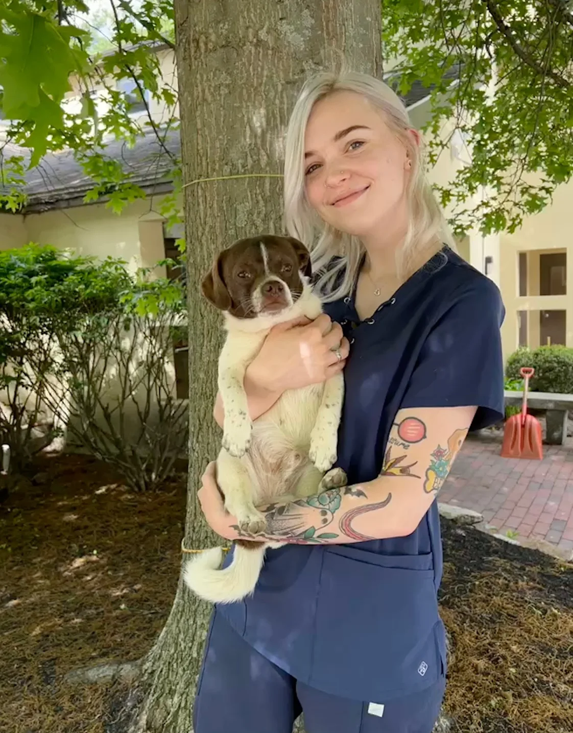 Chloe Chloe