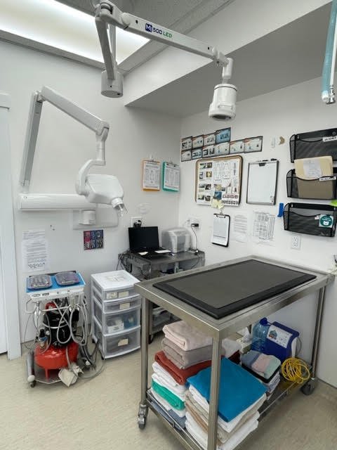 Dentistry Room