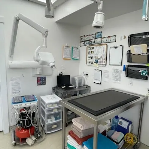 Dentistry Room Dentistry Room