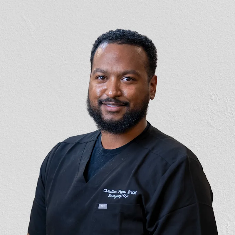 Christian Payne Christian Payne