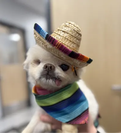 Dr. Michael Raouf Dr. Michael Raouf