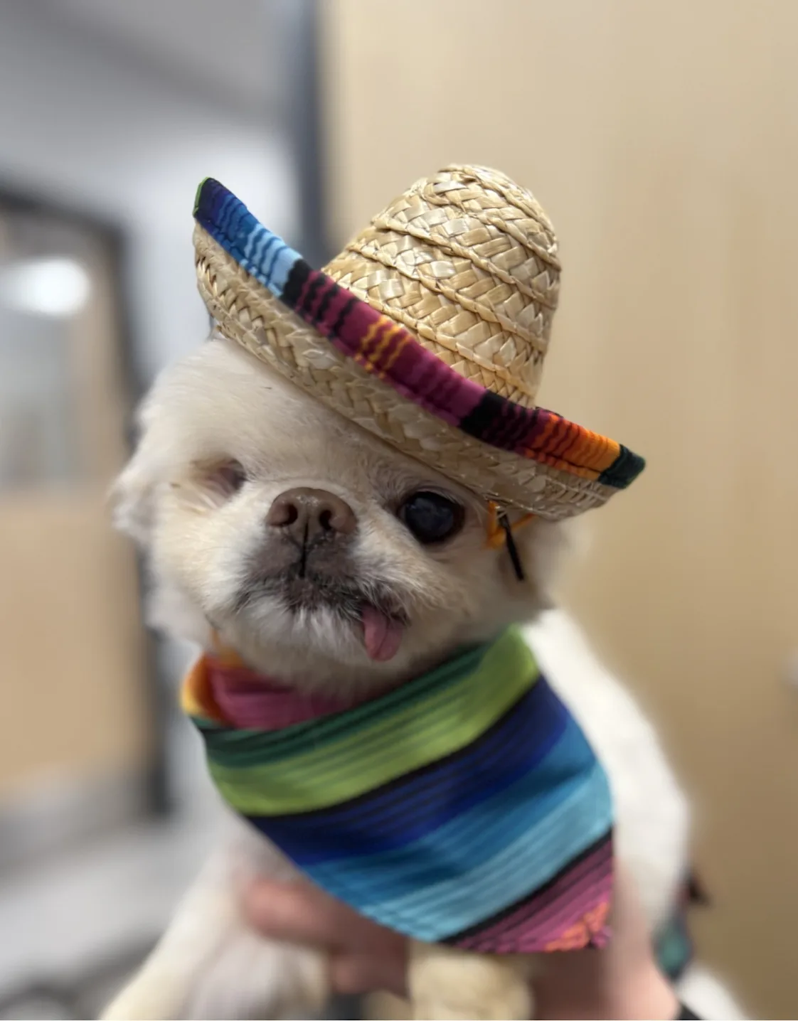 Dr. Michael Raouf Dr. Michael Raouf