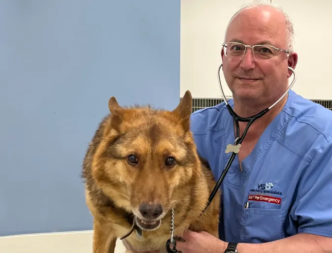 Doctor dressed in blue with big tan fluffy dog